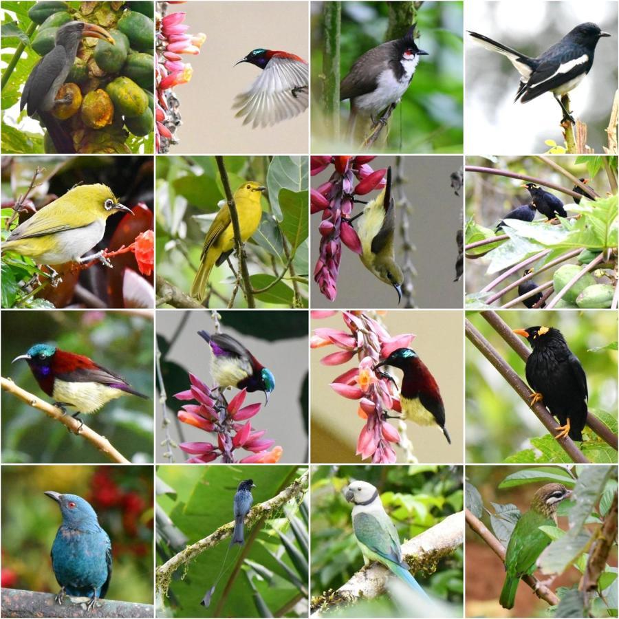 Flower Valley Plantation Homestay Munnar Luaran gambar