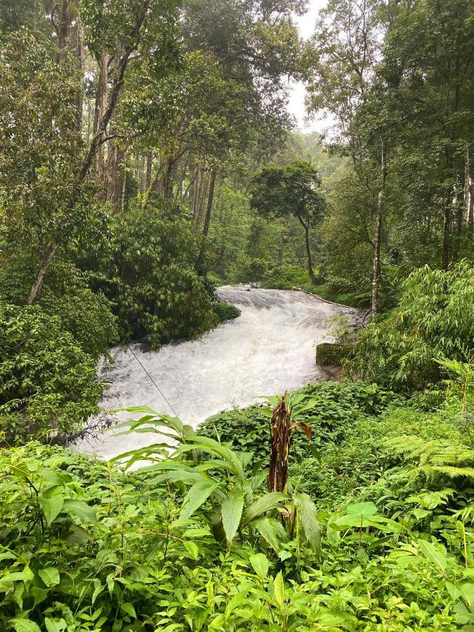 Flower Valley Plantation Homestay Munnar Luaran gambar
